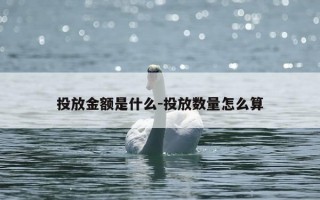 投放金额是什么-投放数量怎么算