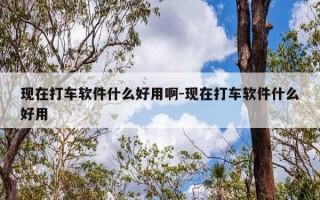 现在打车软件什么好用啊-现在打车软件什么好用