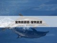 宠物旅游团-宠物旅游