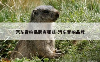 汽车音响品牌有哪些-汽车音响品牌