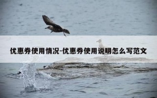 优惠券使用情况-优惠券使用说明怎么写范文