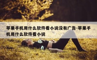 苹果手机用什么软件看小说没有广告-苹果手机用什么软件看小说