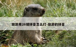 旅游用26键拼音怎么打-旅游的拼音