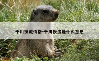 千川投流价格-千川投流是什么意思