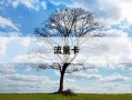 流量卡-流量卡移动19元200g大王卡