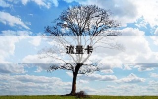 流量卡-流量卡移动19元200g大王卡