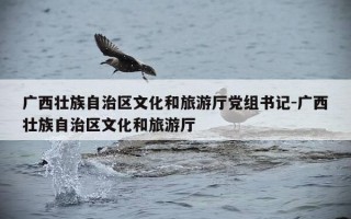 广西壮族自治区文化和旅游厅党组书记-广西壮族自治区文化和旅游厅
