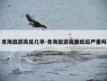 青海旅游高反几率-青海旅游高原反应严重吗