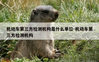 机动车第三方检测机构是什么单位-机动车第三方检测机构