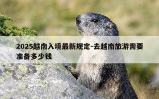 2025越南入境最新规定-去越南旅游需要准备多少钱