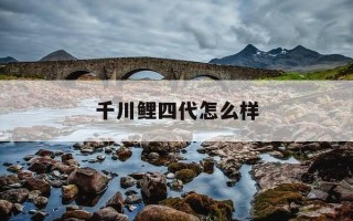 千川鲤四代怎么样-千川鲤4代哪里可以买到