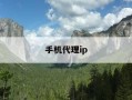 手机代理ip-手机代理ip怎么搭建