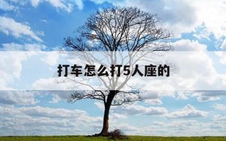 打车怎么打5人座的-打车怎么打6人座的