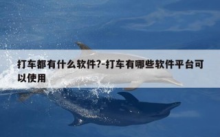 打车都有什么软件?-打车有哪些软件平台可以使用