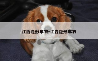 江西隐形车衣-江森隐形车衣