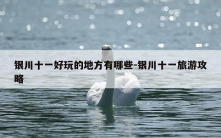 银川十一好玩的地方有哪些-银川十一旅游攻略