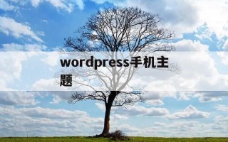 wordpress手机主题-wordpress主题divi
