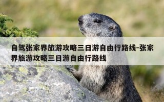 自驾张家界旅游攻略三日游自由行路线-张家界旅游攻略三日游自由行路线
