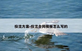 投流方案-投流合同模板怎么写的