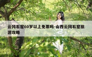云冈石窟60岁以上免票吗-山西云冈石窟旅游攻略