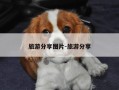 旅游分享图片-旅游分享