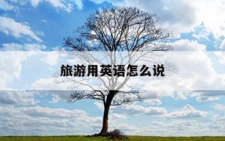 旅游用英语怎么说-我喜欢旅游用英语怎么说