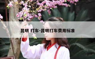 昆明 打车-昆明打车费用标准