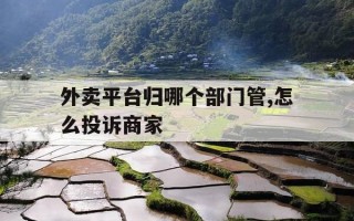 外卖平台归哪个部门管,怎么投诉商家-外卖平台监管投诉电话