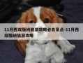 11月西双版纳旅游攻略必去景点-11月西双版纳旅游攻略