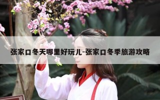 张家口冬天哪里好玩儿-张家口冬季旅游攻略
