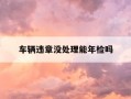 车辆违章没处理能年检吗-机动车违章没处理可以年检吗