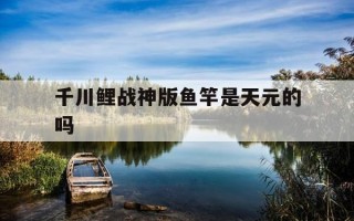 千川鲤战神版鱼竿是天元的吗-千川鲤4代是大物竿吗