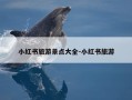 小红书旅游景点大全-小红书旅游