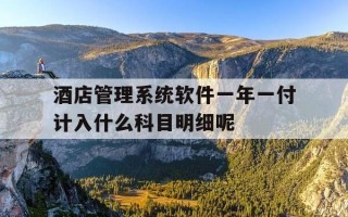 酒店管理系统软件一年一付计入什么科目明细呢-