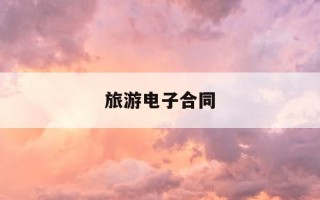 旅游电子合同-旅游电子合同和纸质合同利弊