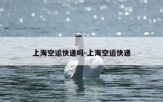 上海空运快递吗-上海空运快递