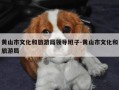 黄山市文化和旅游局领导班子-黄山市文化和旅游局
