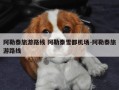 阿勒泰旅游路线 阿勒泰雪都机场-阿勒泰旅游路线
