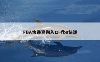 FBA快递查询入口-fba快递
