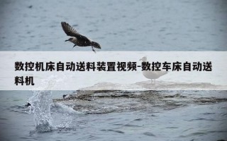 数控机床自动送料装置视频-数控车床自动送料机