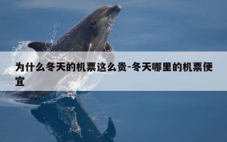 为什么冬天的机票这么贵-冬天哪里的机票便宜