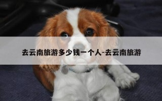 去云南旅游多少钱一个人-去云南旅游