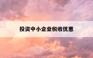 投资中小企业税收优惠-投资中小企业税收优惠多少