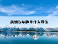 属猴选车牌号什么最佳-属猴人车牌适合什么字母