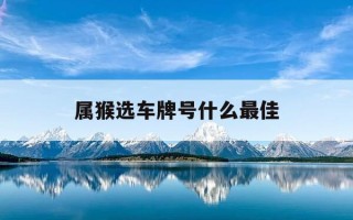 属猴选车牌号什么最佳-属猴人车牌适合什么字母