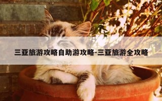 三亚旅游攻略自助游攻略-三亚旅游全攻略