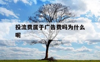 投流费属于广告费吗为什么呢-投流费属于广告费吗为什么呢不能报销