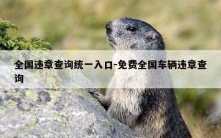 全国违章查询统一入口-免费全国车辆违章查询