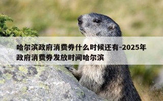 哈尔滨政府消费券什么时候还有-2025年政府消费券发放时间哈尔滨