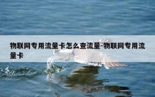 物联网专用流量卡怎么查流量-物联网专用流量卡